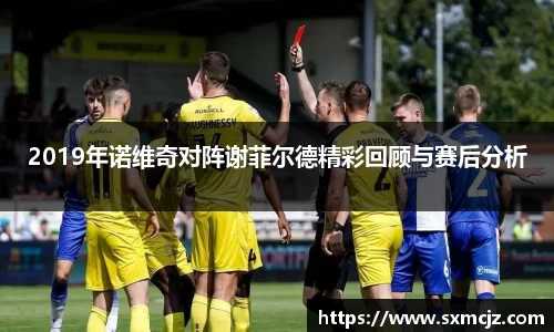 2019年诺维奇对阵谢菲尔德精彩回顾与赛后分析